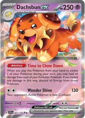 Dachsbun ex - 067/142 - Stellar Crown